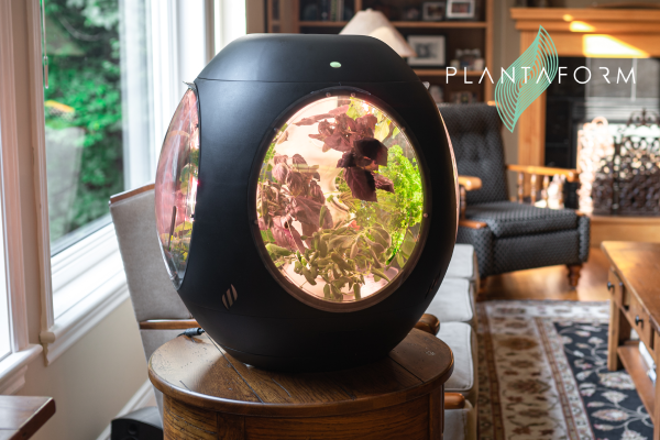 Welcome to the Future of Indoor Gardening